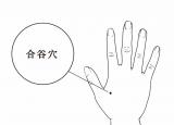 今日更新五官科是指哪五官（關(guān)于五官的6個老偏方）