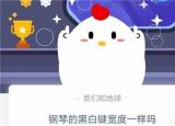 今日更新鋼琴的黑白鍵（鋼琴的黑白鍵寬度一樣嗎）