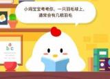 今日更新一根羽毛球上有幾根羽毛（一只羽毛球上通常會有多少幾根羽毛）