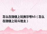 怎么在微信上玩賽爾號h5（怎么在微信上玩斗地主）