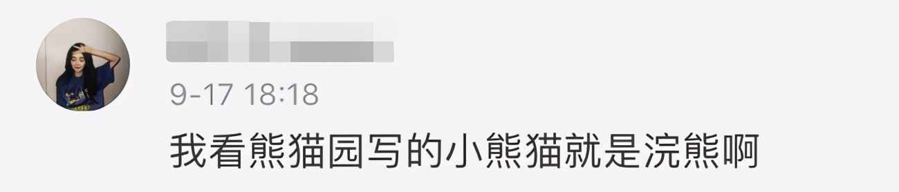 分不清小熊貓和小浣熊，導致了一場互聯(lián)網“干脆面”之爭