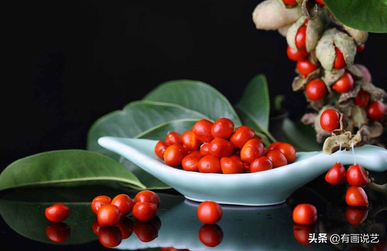 “玲瓏骰子安紅豆，入骨相思知不知”，紅豆為何能代表相思？