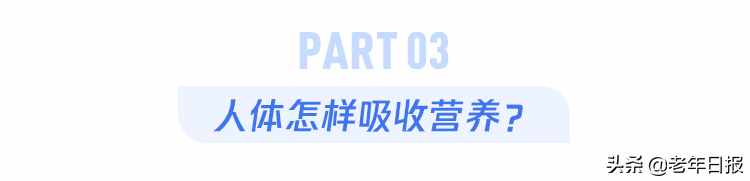 頭發(fā)太長，會和身體搶營養(yǎng)？真相是這樣的