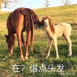 頭發(fā)太長，會和身體搶營養(yǎng)？真相是這樣的