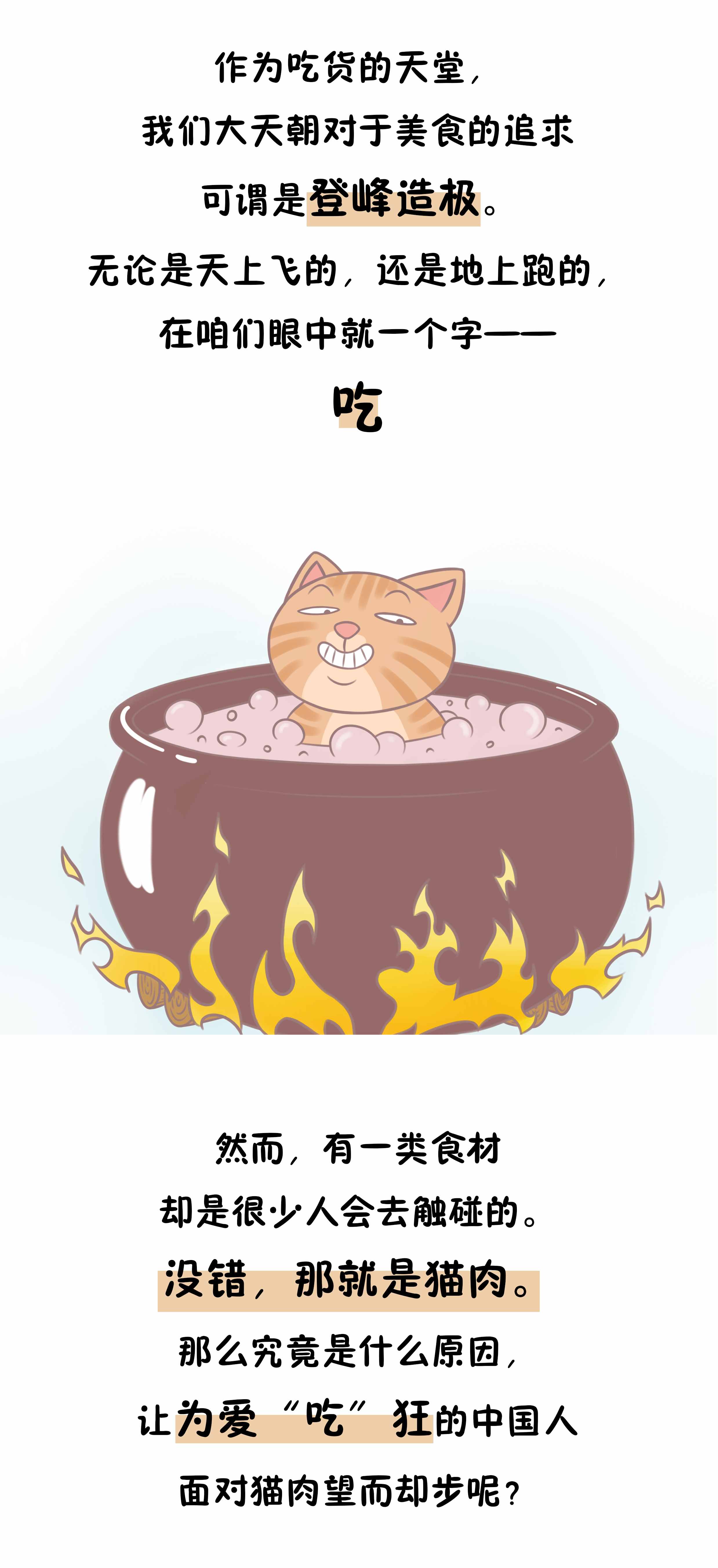 吃貓肉竟是國人的忌諱，僅僅是因為口感不好嗎？可沒那么簡單