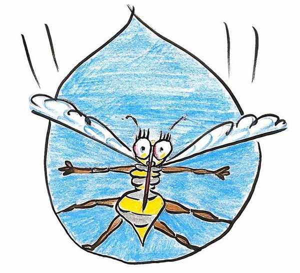 下雨的時(shí)候，蚊子為什么不會被雨砸死？