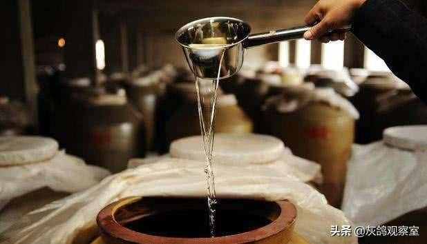 低端“酒王”，一瓶不到20塊，一年卻賣了上百億