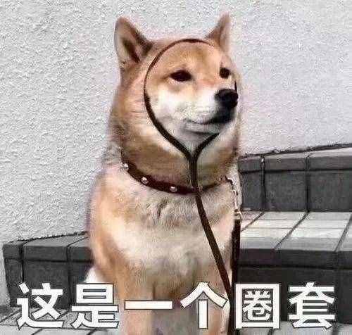電子設(shè)備內(nèi)存“縮水”？消小妹兒給你答案