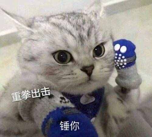 電子設(shè)備內(nèi)存“縮水”？消小妹兒給你答案