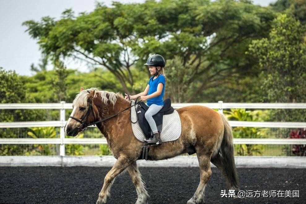 培養(yǎng)孩子體育特長，這三項運動最燒錢