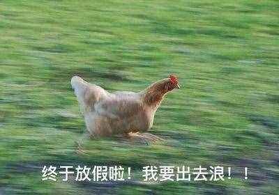 叮！國慶出游必備攻略，請查收→