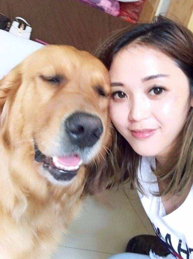 飼養(yǎng)金毛犬最正確的方法，你學(xué)會(huì)了嗎？