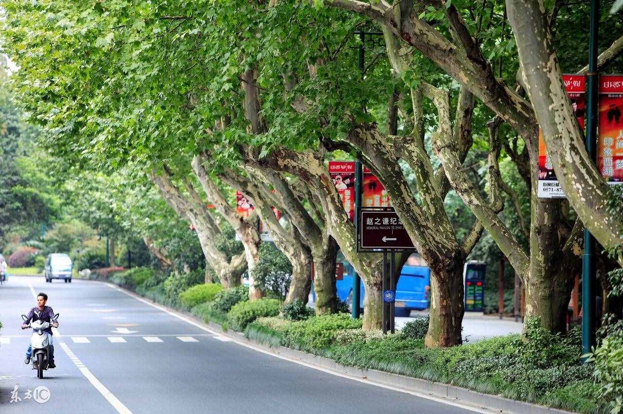 浙江8個(gè)必去景點(diǎn)！去過(guò)6個(gè)以上的很幸福