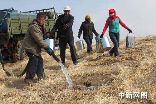 地球的“癌癥”--沙漠化土壤的危害與防治