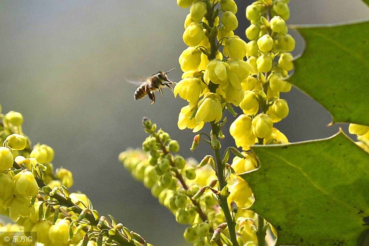 在春季人們很容易患上“桃花癲”，看看你有沒有這些異常行為！