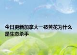 今日更新加拿大一枝黃花為什么是生態(tài)殺手