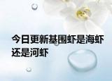 今日更新基圍蝦是海蝦還是河蝦