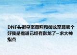 DNF頭銜皇室尊稱和御龍至尊哪個(gè)好我是魔道已經(jīng)有御龍了~求大神指點(diǎn)