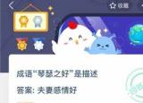 今日更新成語琴瑟之好是描述（成語琴瑟之好是描述）