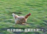 今日更新國(guó)慶旅游攻略（最走心的國(guó)慶旅游攻略來(lái)了）