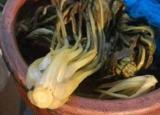 今日更新咸菜亞硝酸鹽（會(huì)不會(huì)亞硝酸鹽超標(biāo)致癌）