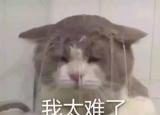 今日更新化妝品品牌排行榜（全球化妝品排名）