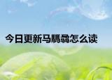 今日更新馬騳骉怎么讀