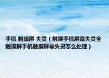 手機 觸摸屏 失靈（觸屏手機屏幕失靈全觸摸屏手機觸摸屏幕失靈怎么處理）