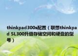 thinkpad300s配置（聯(lián)想thinkpad SL300升級(jí)存儲(chǔ)空間和硬盤的型號(hào)）
