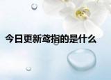 今日更新鳶指的是什么