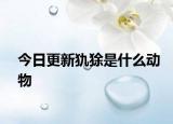 今日更新犰狳是什么動物