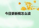 今日更新桅怎么讀