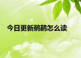今日更新鴯鹋怎么讀