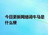 今日更新網(wǎng)絡(luò)詞牛馬是什么梗