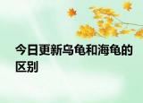 今日更新烏龜和海龜?shù)膮^(qū)別