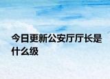 今日更新公安廳廳長(zhǎng)是什么級(jí)