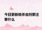 今日更新噴殺蟲劑要注意什么