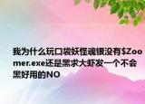 我為什么玩口袋妖怪魂銀沒(méi)有$Zoomer.exe還是黑求大蝦發(fā)一個(gè)不會(huì)黑好用的NO