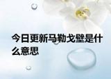 今日更新馬勒戈壁是什么意思