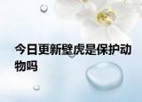 今日更新壁虎是保護(hù)動(dòng)物嗎