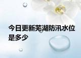 今日更新蕪湖防汛水位是多少
