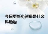 今日更新小熊貓是什么科動物