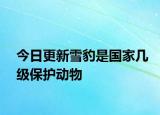 今日更新雪豹是國家?guī)准?jí)保護(hù)動(dòng)物