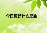 今日更新什么是鹽