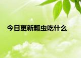 今日更新瓢蟲吃什么