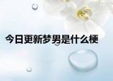 今日更新夢男是什么梗