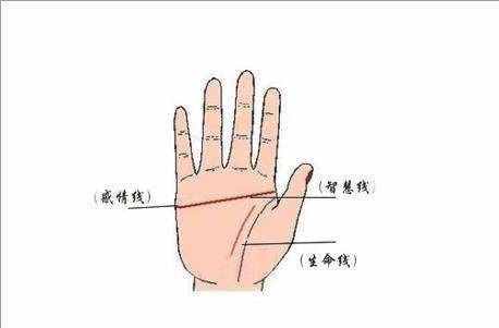 什么是斷掌？這又意味著什么？分析后你就明白了