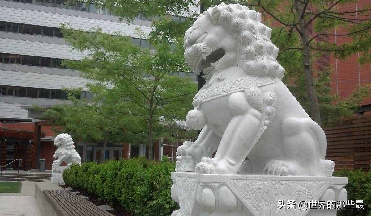 同樣是“百獸之王”，為何有那么多人認(rèn)為老虎一定比獅子厲害？
