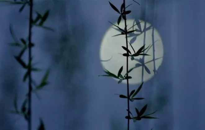 「詩詞鑒賞」八首月夜詩詞，月華初上，你在思念誰？