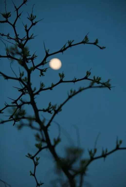 「詩詞鑒賞」八首月夜詩詞，月華初上，你在思念誰？